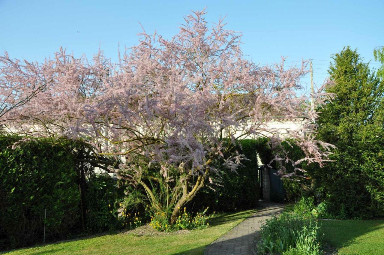 Bed and Breakfast Les Rendzines à Nuisement-sur-Coole Extérieur photo